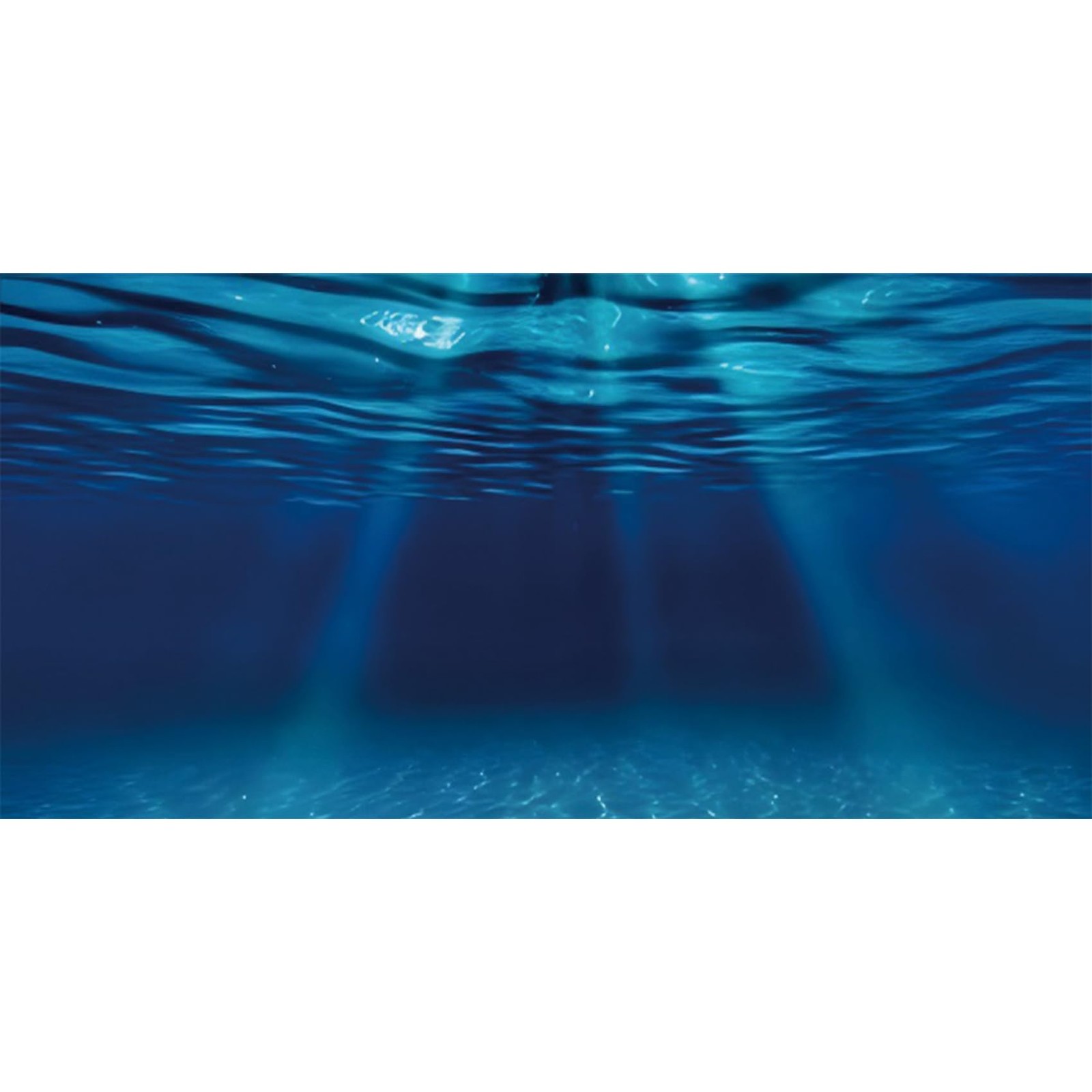 48×24 inches Ocean Floor Aquarium Background Undersea Theme Aquarium Background