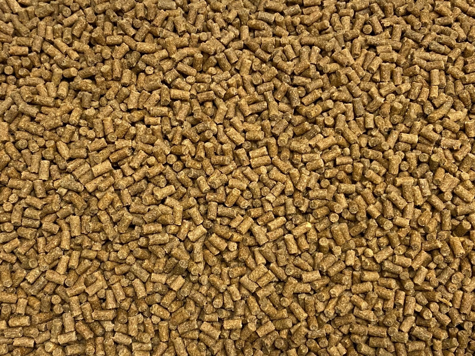 ABF Brine Shrimp Tropical Fish Sticks 2.4,Brine ShrimpSpirulina,,Catfish,ABF358