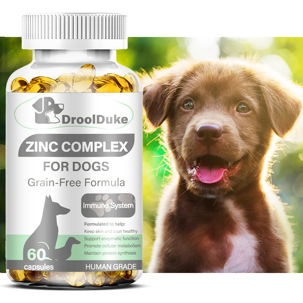 Zinc Supplement for Dog, Support Healthy Skin & Coat, Promote Normal Growth