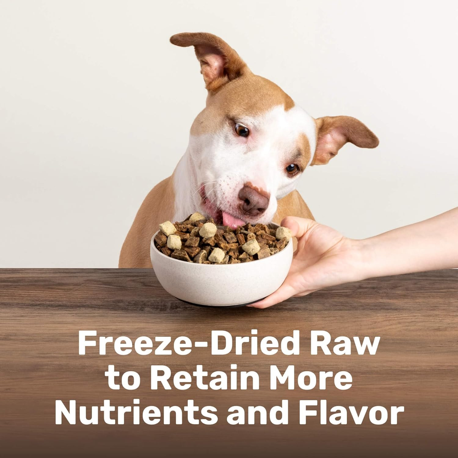 Superfood Nuggets – Freeze-Dried Raw Dog Treat & Food Topper, Nutrient-Dense Bee