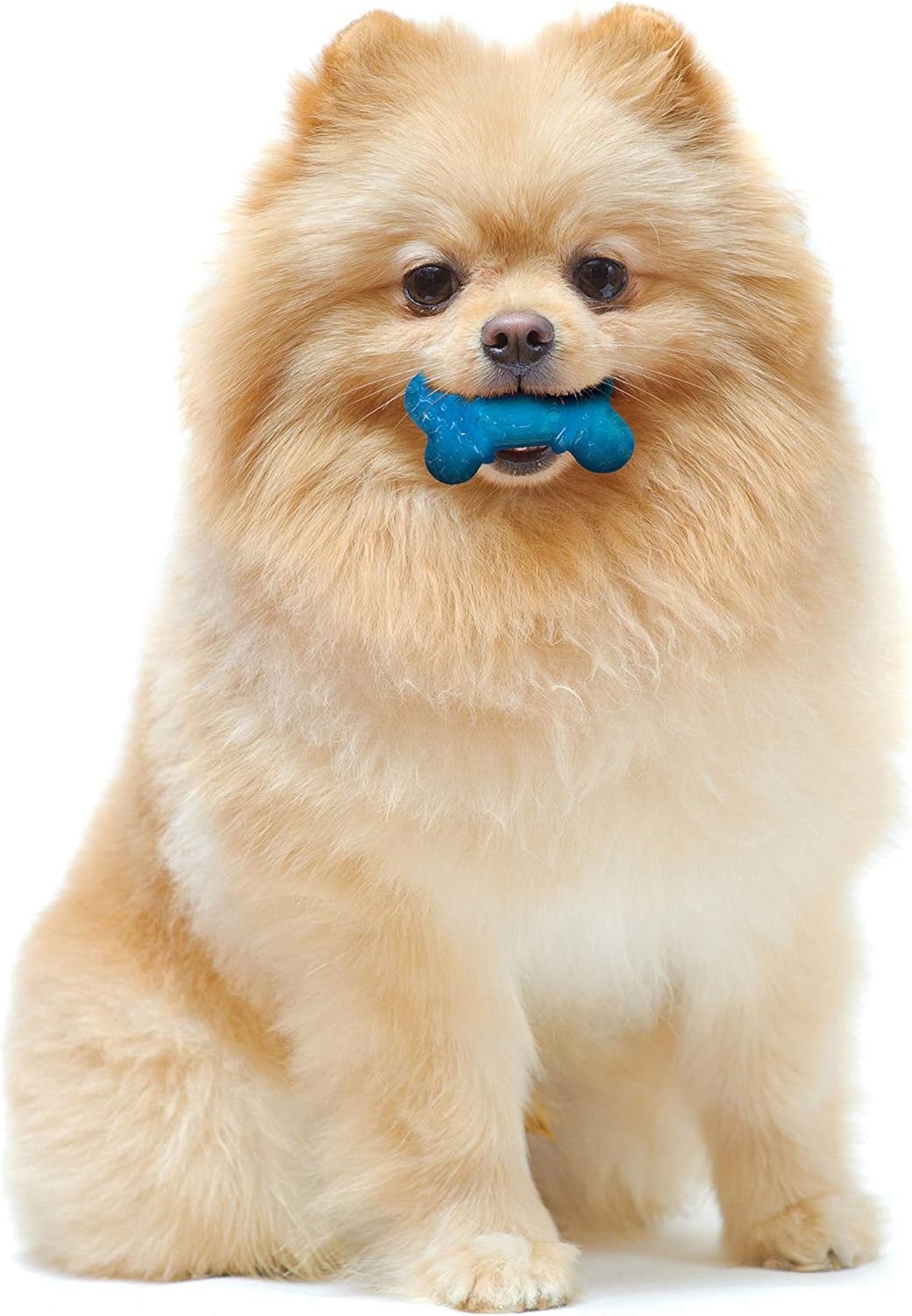 Nylabone Moderate Chew Tiny Bones Twin Pack for Dogs up to 8 Pounds