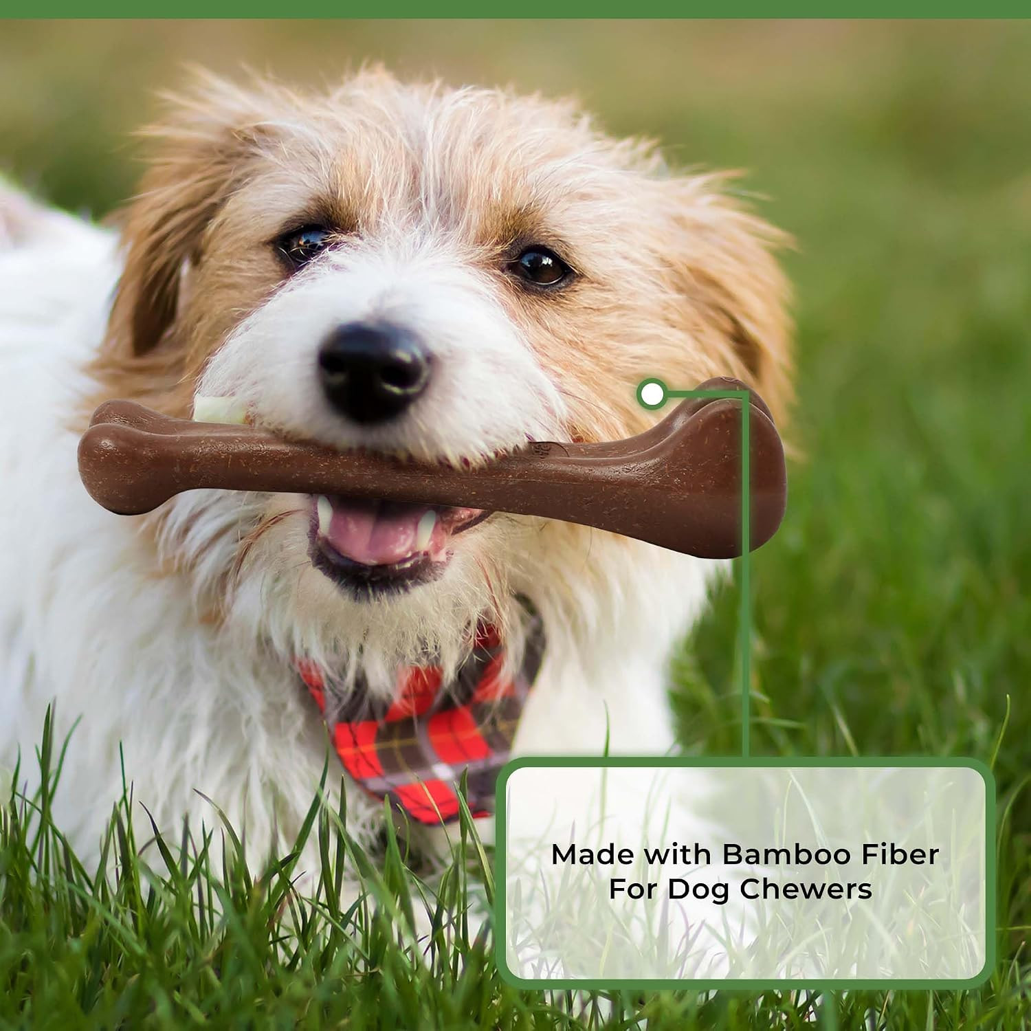 Bam-Bones Bone – Made with Strong Bamboo Fiber, Durable Long Lasting Dog Chew fo