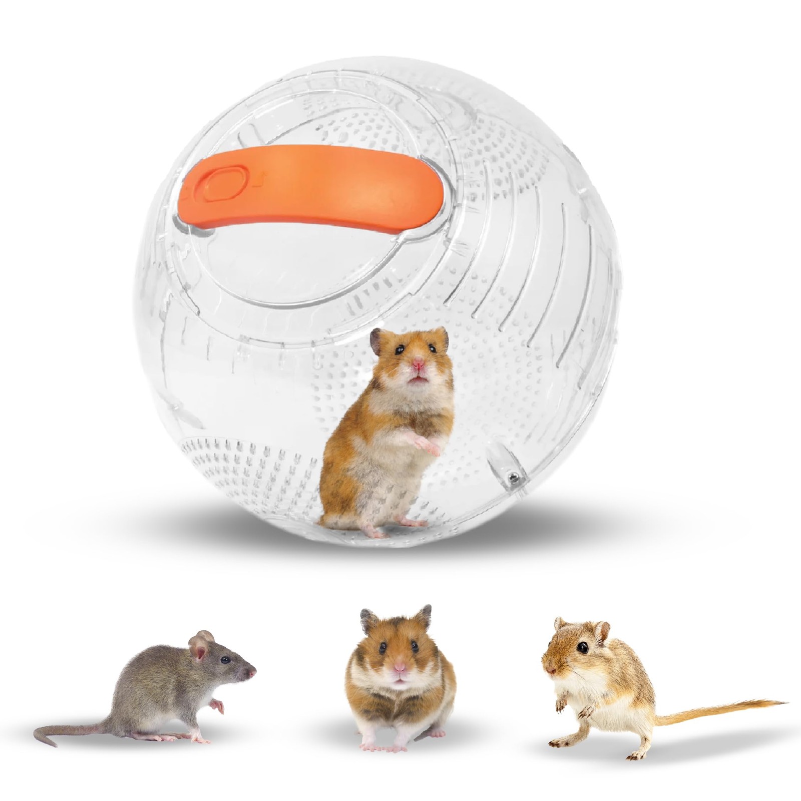 Hamster Exercise Ball 7 Inch Small Animal Gerbil Mouse Rat Safe Active Play