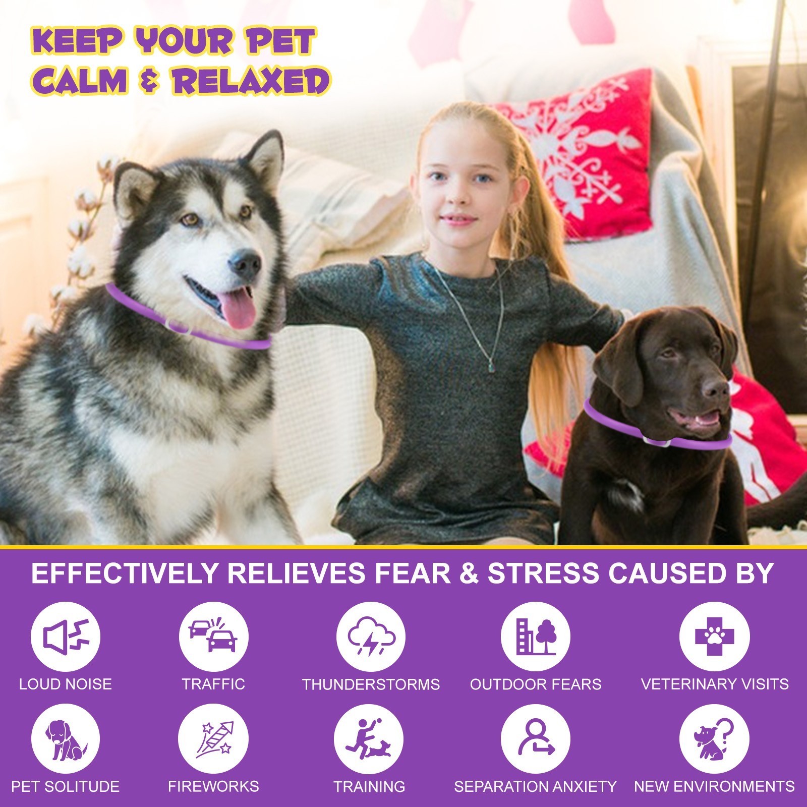 90 Day Calming Collar for Dogs Natural Calming Pheromones Embedded anxiety relax