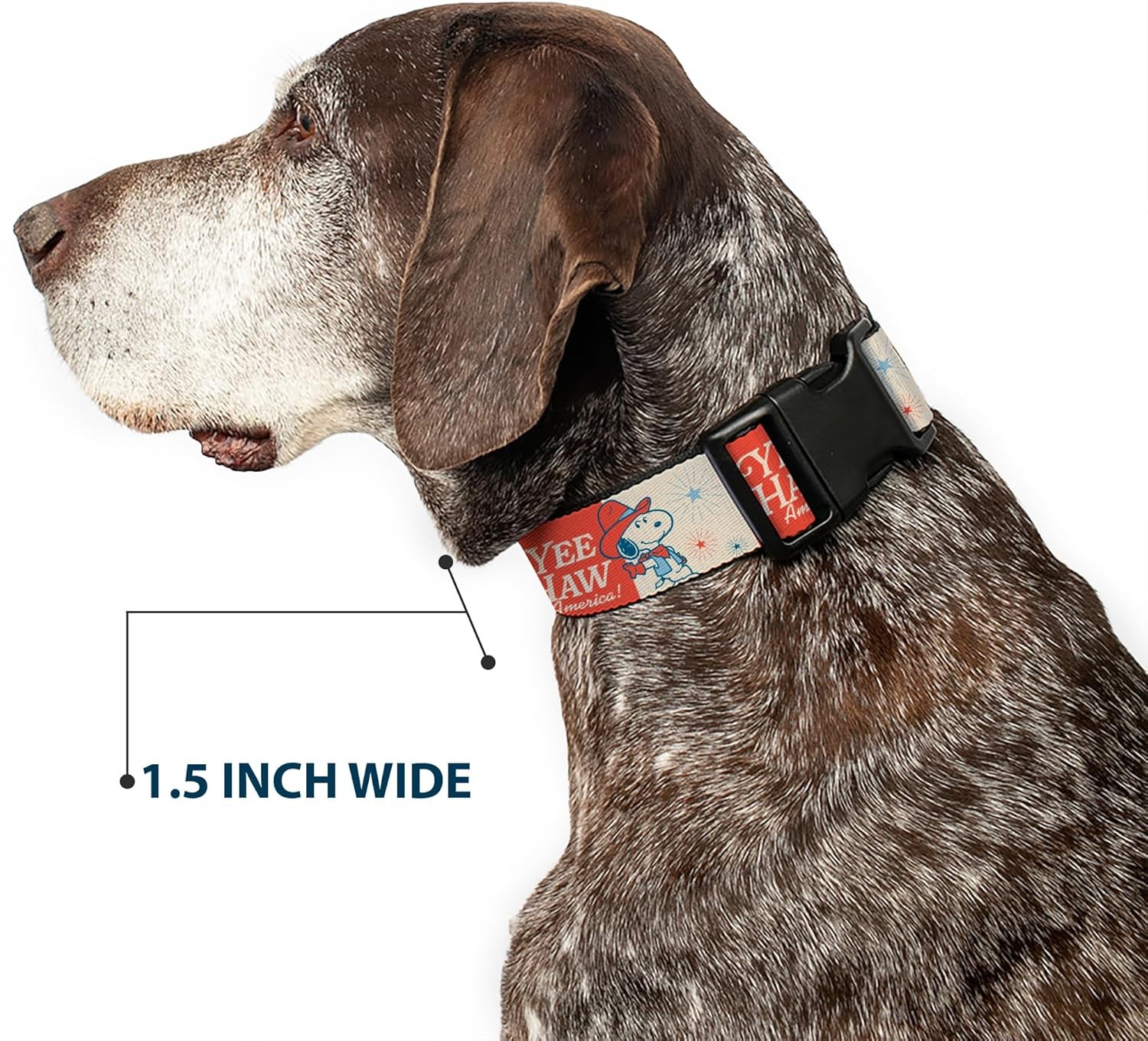 Peanuts Worldwide LLC Pet Collar, Dog Collar Plastic Buckle, Peanuts Snoopy Yee