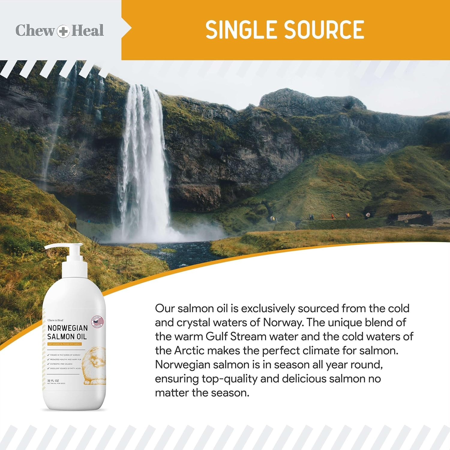 Salmon Oil for Dogs – Premium Fish Oil for Skin and Coat Health – Omega 3 Supple