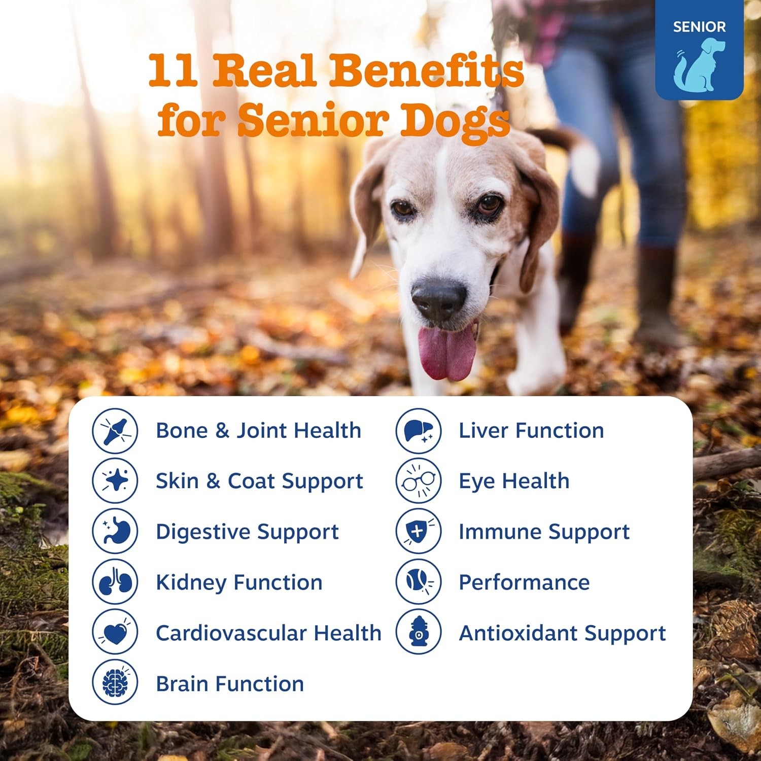 Zesty Paws Senior Dog Multivitamin Treats – Glucosamine for Dogs + Digestive Enz