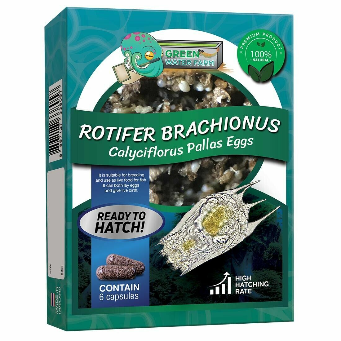 Rotifer Brachionus Calyciflorus Pallas Eggs Live Fish Food for Fry