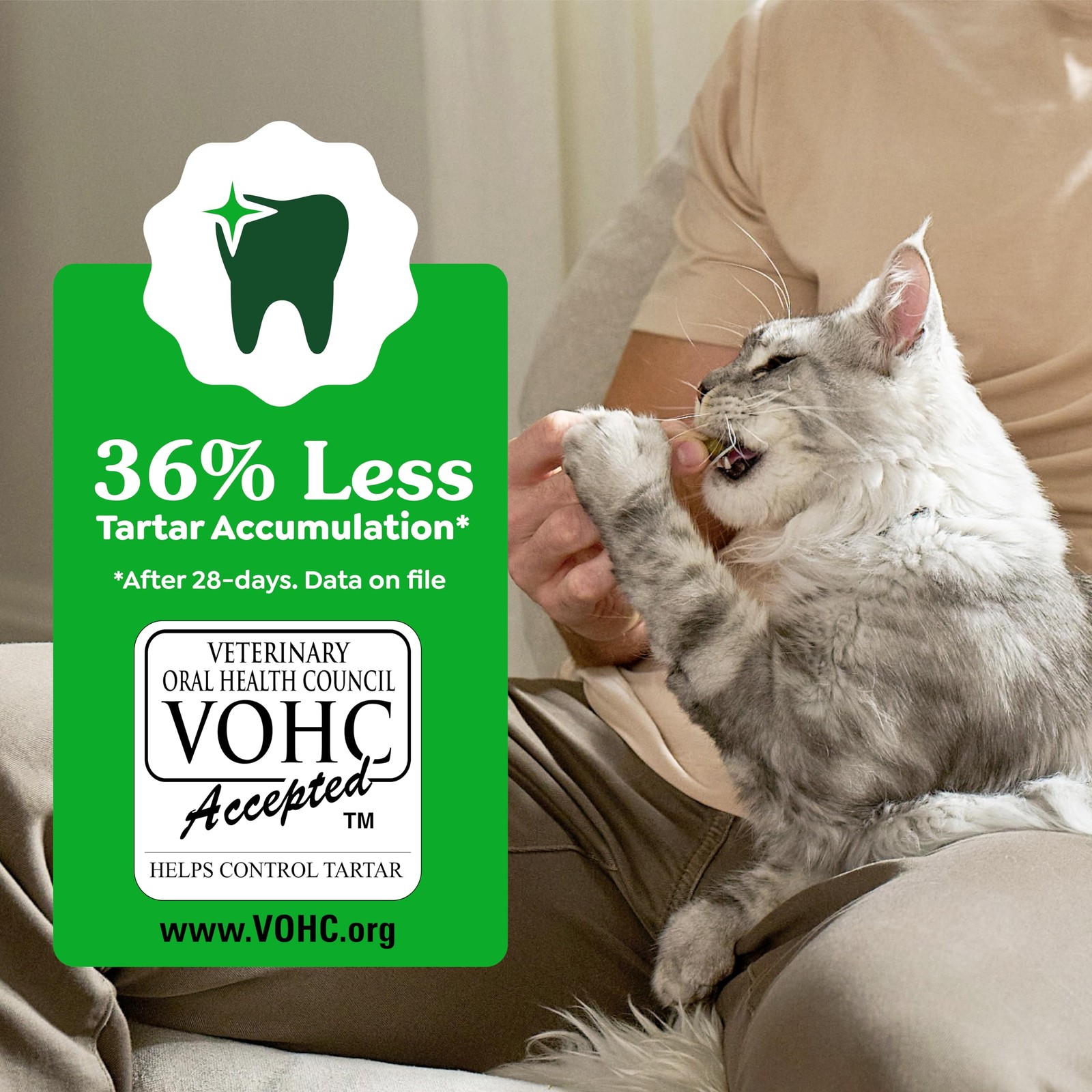 Greenies Cat Treats, Feline 9.75 Ounce (Pack of 1), Chicken