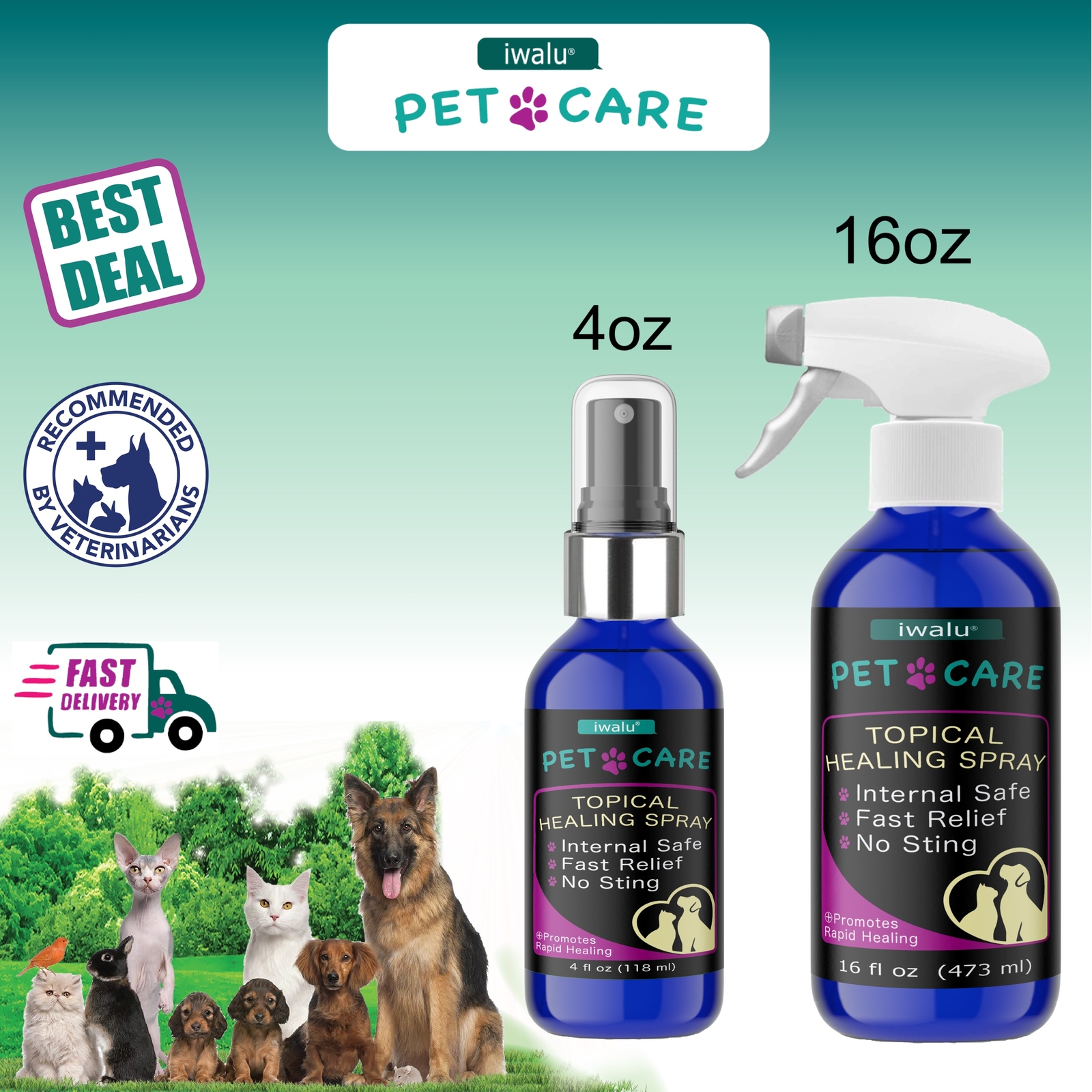 Cat Shampoo For Allergies MEDICATED ADDITIVE Colloidal Silver, SHIPS FREE