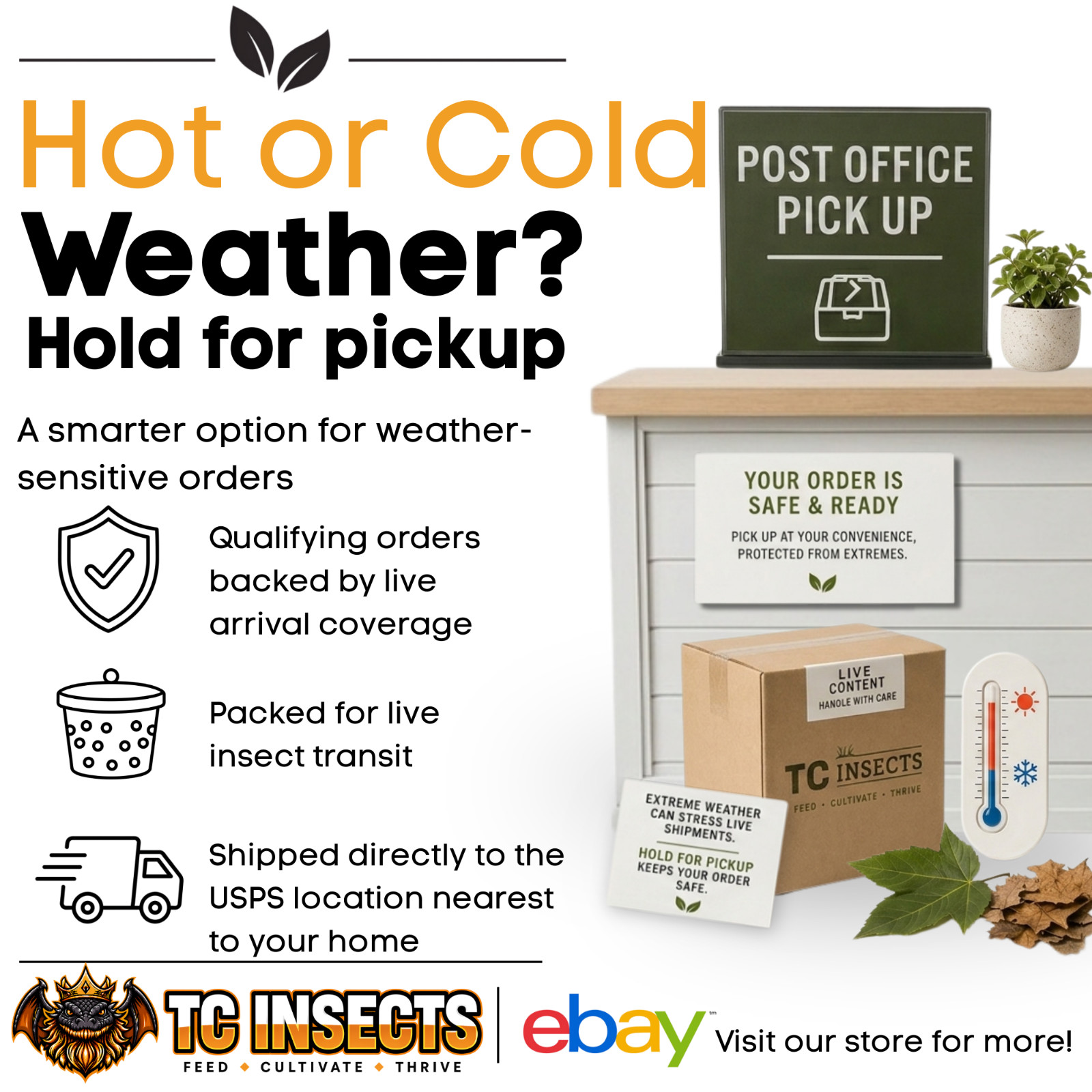 Live Mealworms – FREE Shipping! Bulk, Grown Organic in Texas (100-5000)