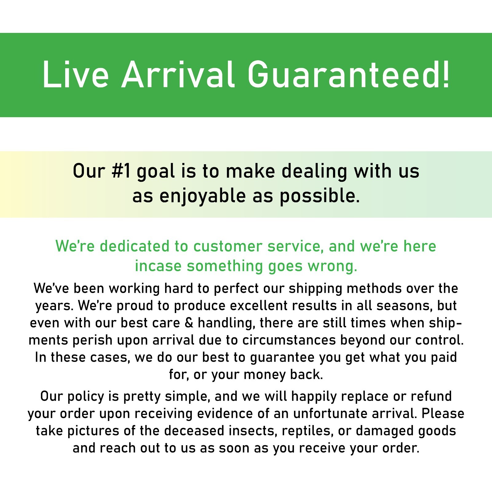 Dubia Roaches – Small, Medium, Large & Feeder Males – Live Arrival Guaranteed