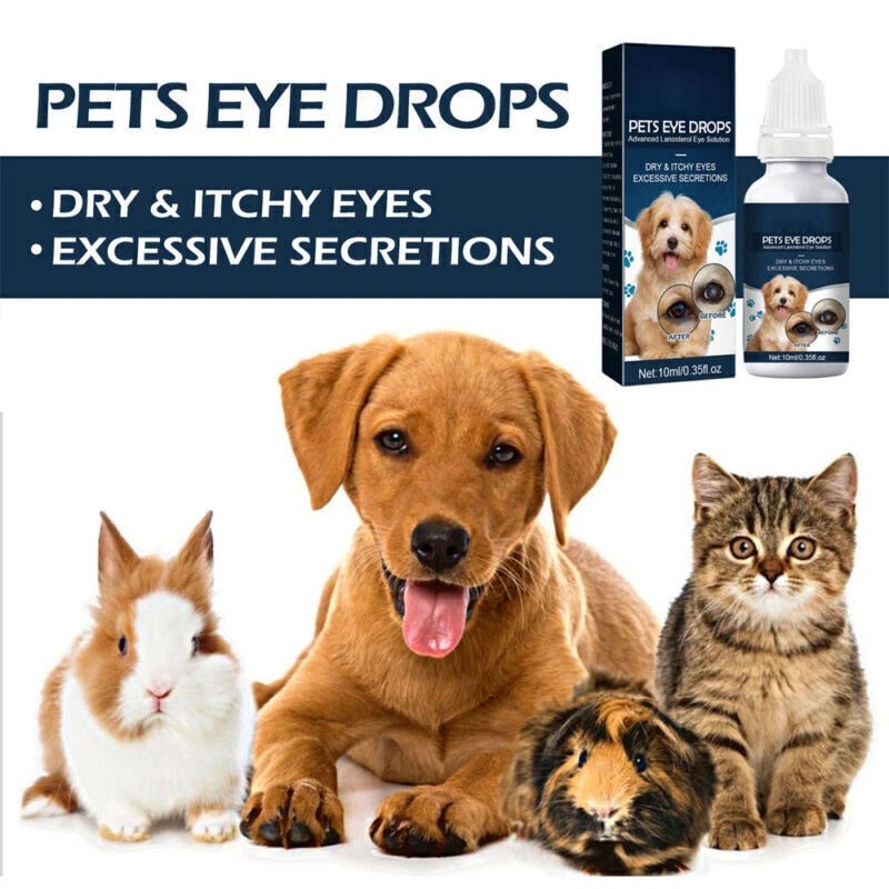 Pet Eye Drops Cataract Drops For Pet Eye Lubricant Drop Lanosterol Solution US