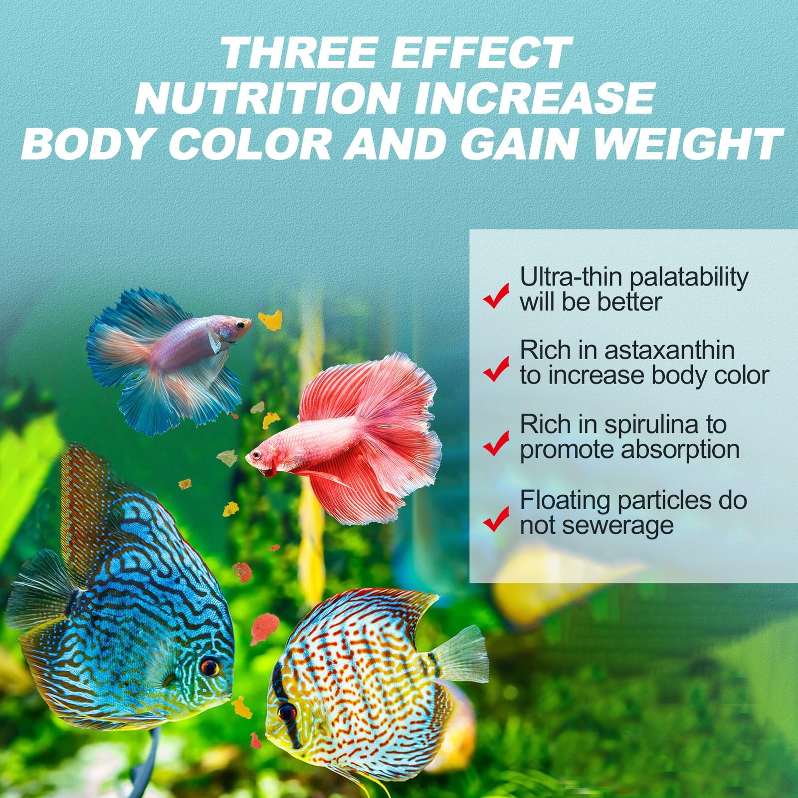 High Protein Tropical Fish Flakes with Krill & Spirulina for Betta, Guppies,