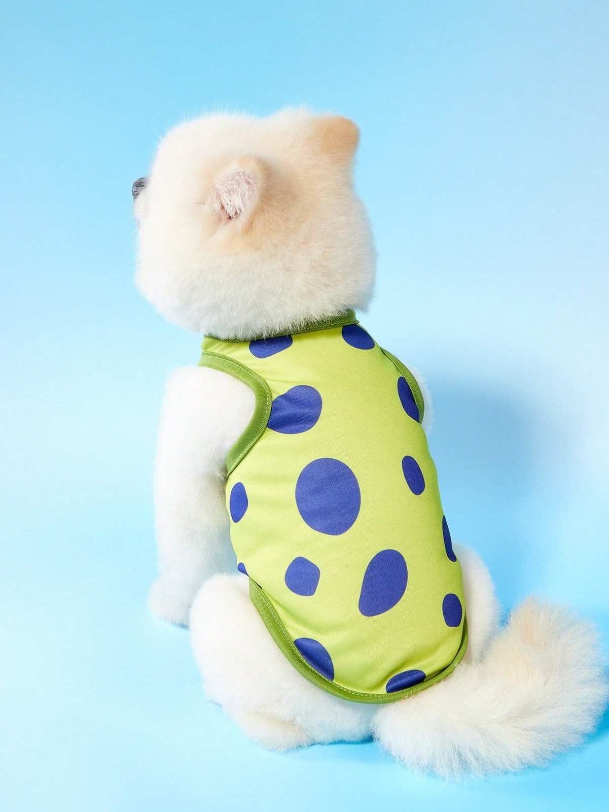 2PCS Small Pet Dog Cat Summer Shirts Vest Clothes Cute Puppy TShirt Coat Apparel