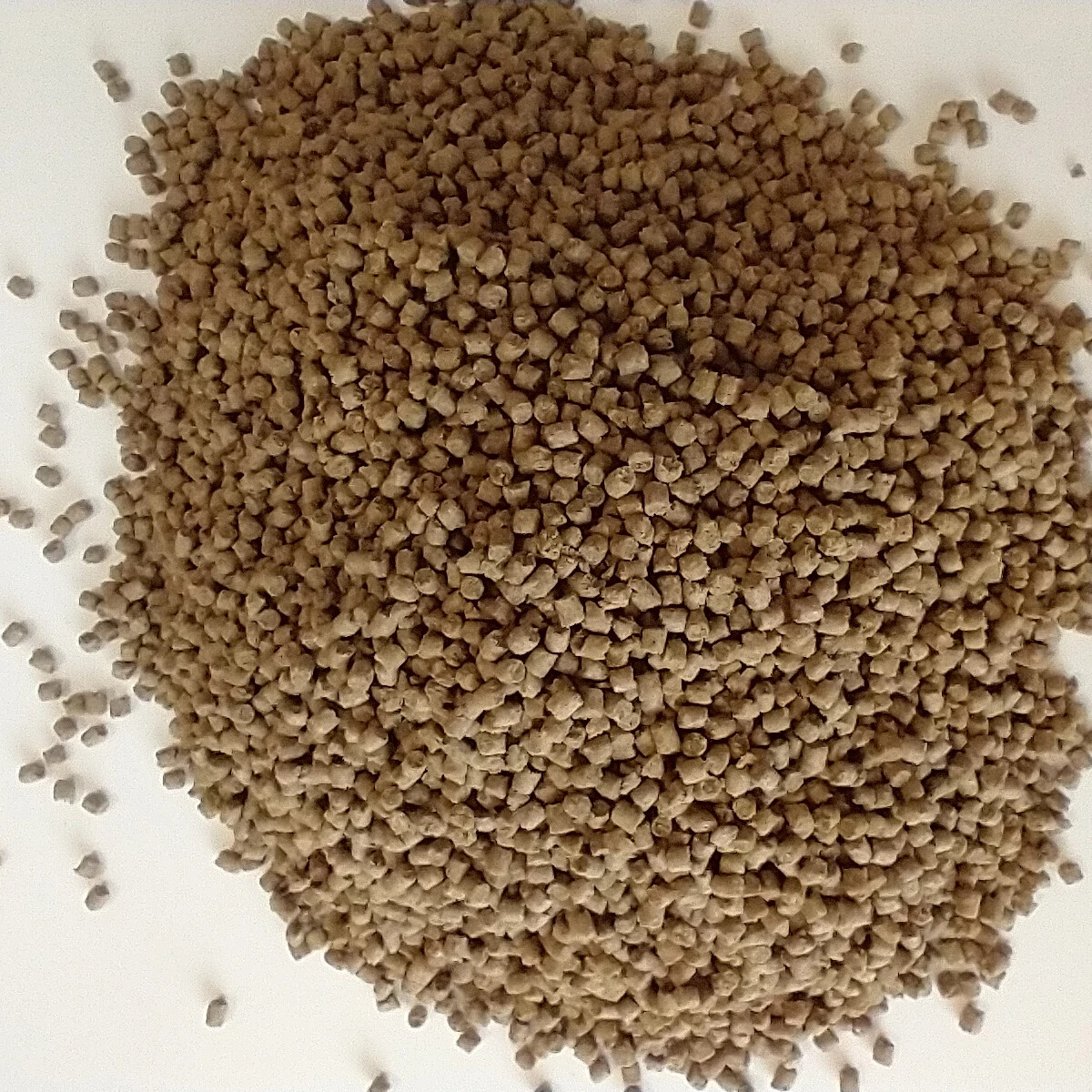 Golden Pellets – Sinking pellets in 3mm and 5mm sizes. Great staple food!