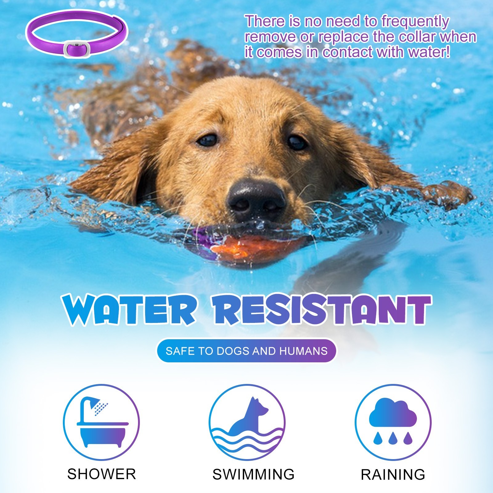 90 Day Calming Collar for Dogs Natural Calming Pheromones Embedded anxiety relax