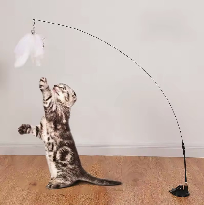 Interactive Cat Toy Handfree Cat Stick Playing Kitten Playing Teaser Wand Toy
