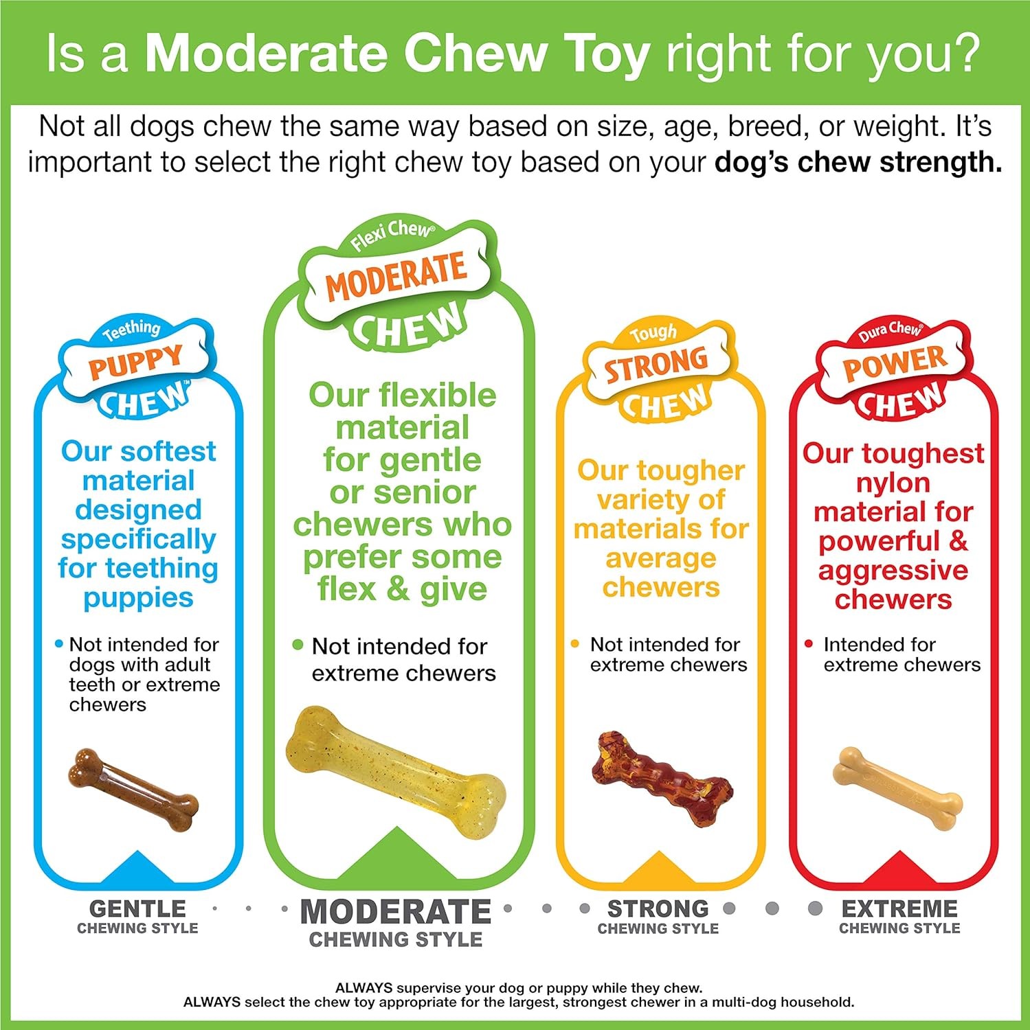 Nylabone Moderate Chew Tiny Bones Twin Pack for Dogs up to 8 Pounds