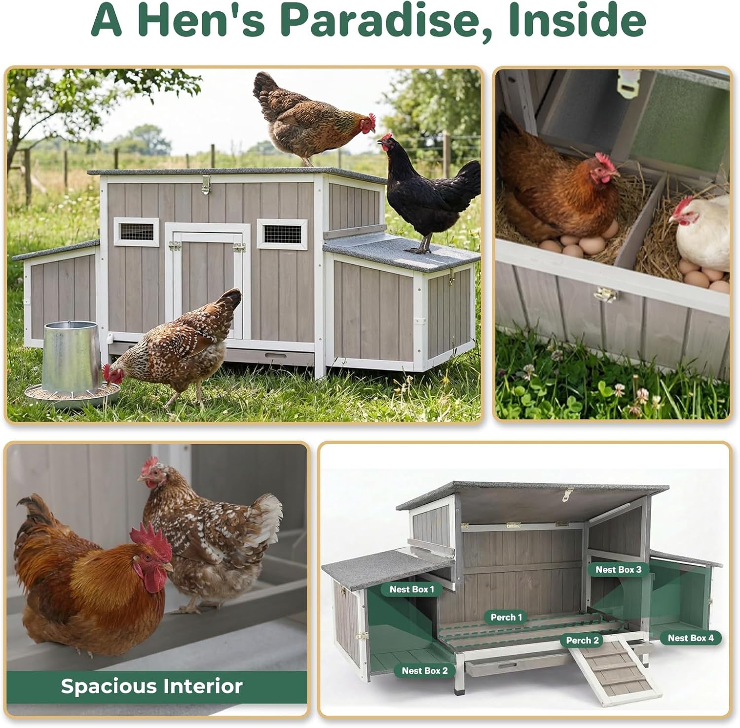 PETSCOSSET 62″Chicken Coop for 2-4 Chickens,Large Hen House with 4 Nesting Boxes