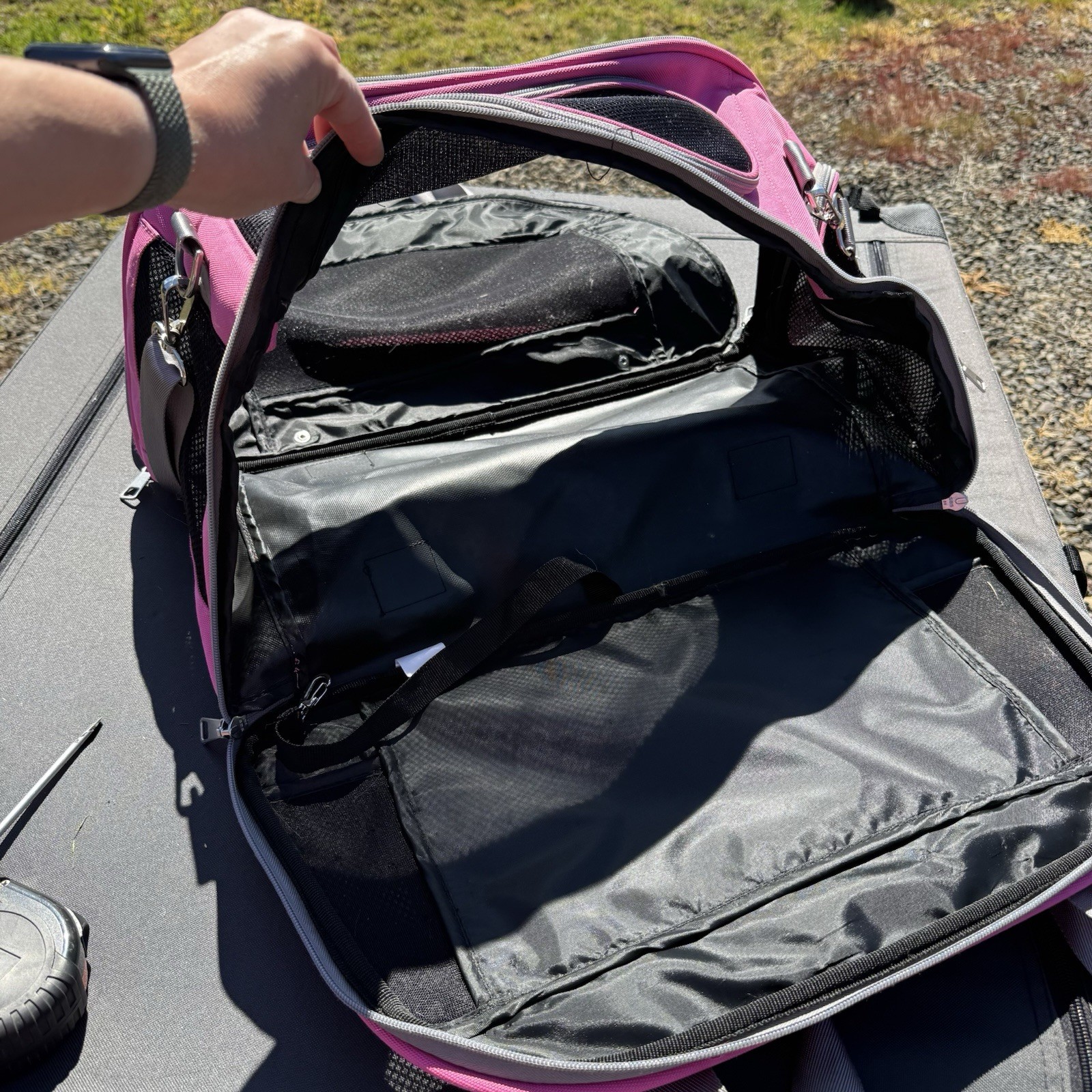 Pink Good2Go Pet Carrier, 21″L X 12″H X 12″D, up to 18 lbs