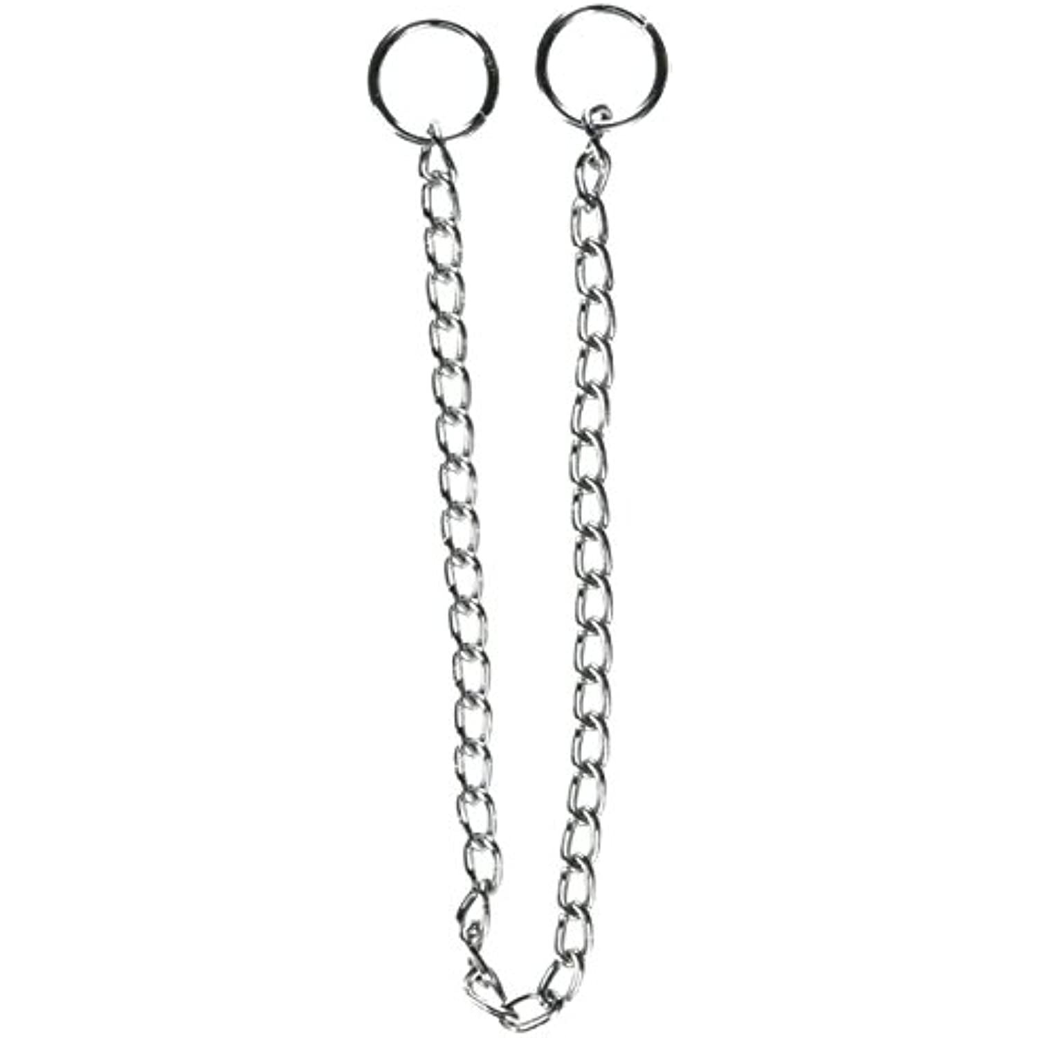 Westminster Pet Products Pet Expert 14″ Chain Dog Collar, Variable Size