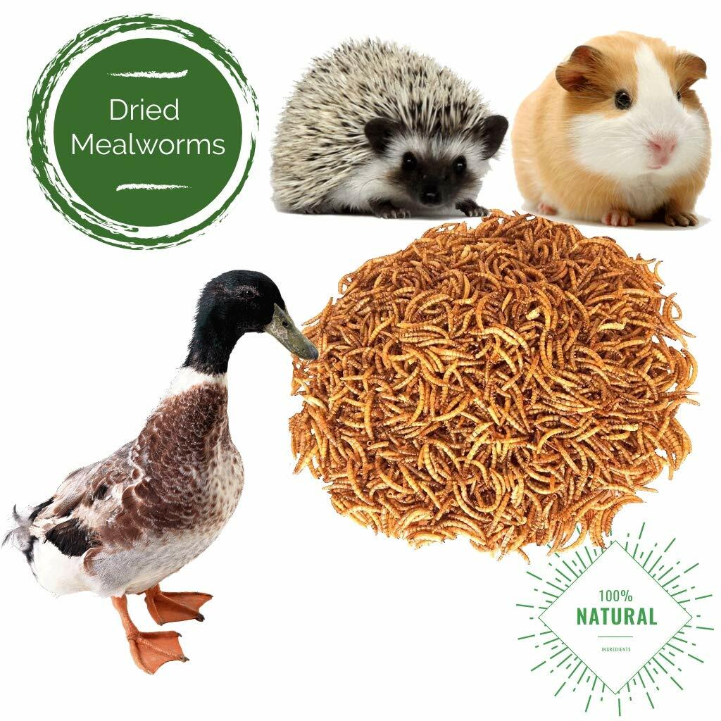10 LBS Bulk Dried Mealworms for Wild Birds Food Blue Bird Chickens Hen Treats