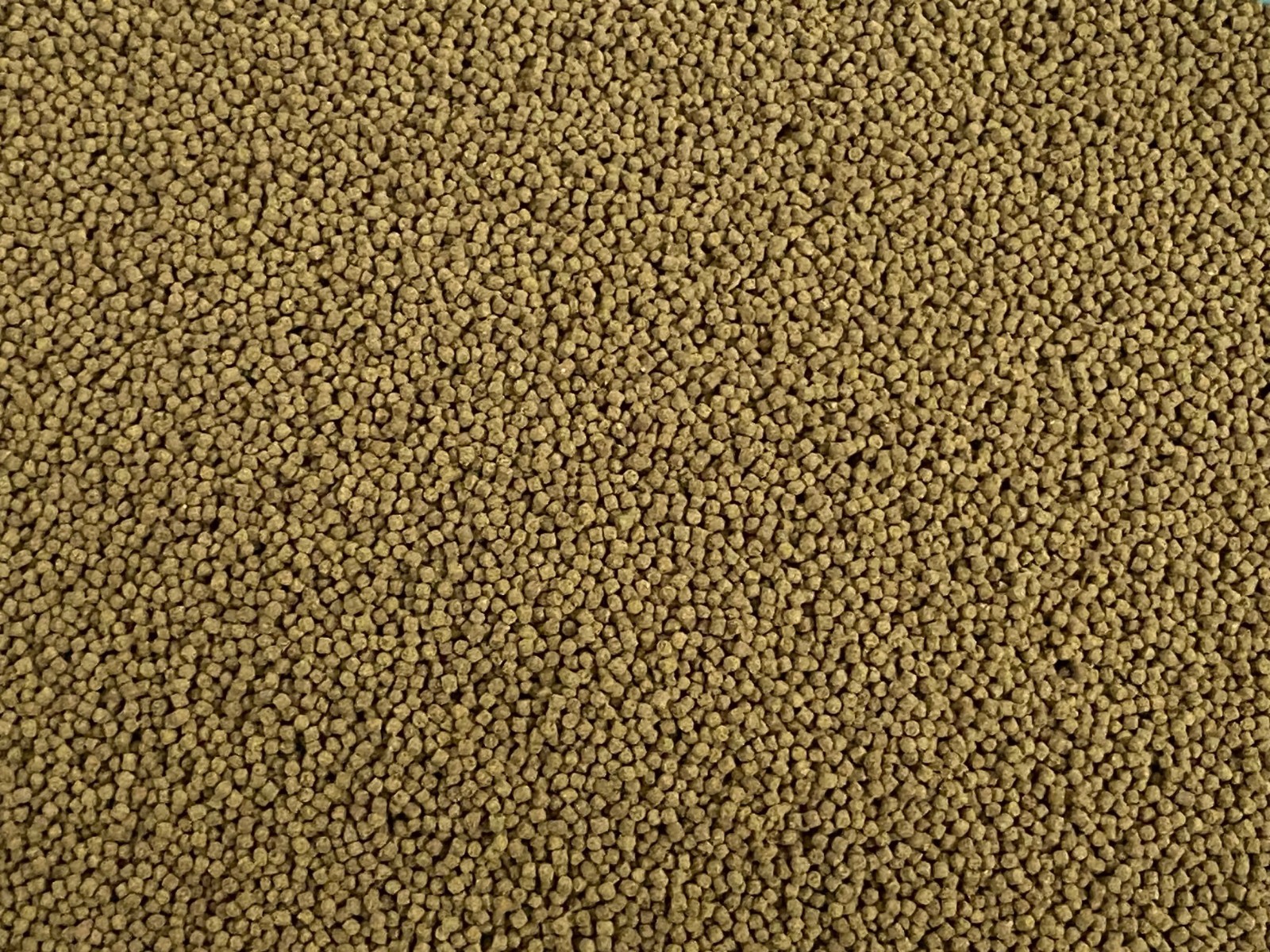 Ultra+ Mini 1.0mm Sinking Color & Grow Mix Cichlids Gourami Rainbow Fish ABF432