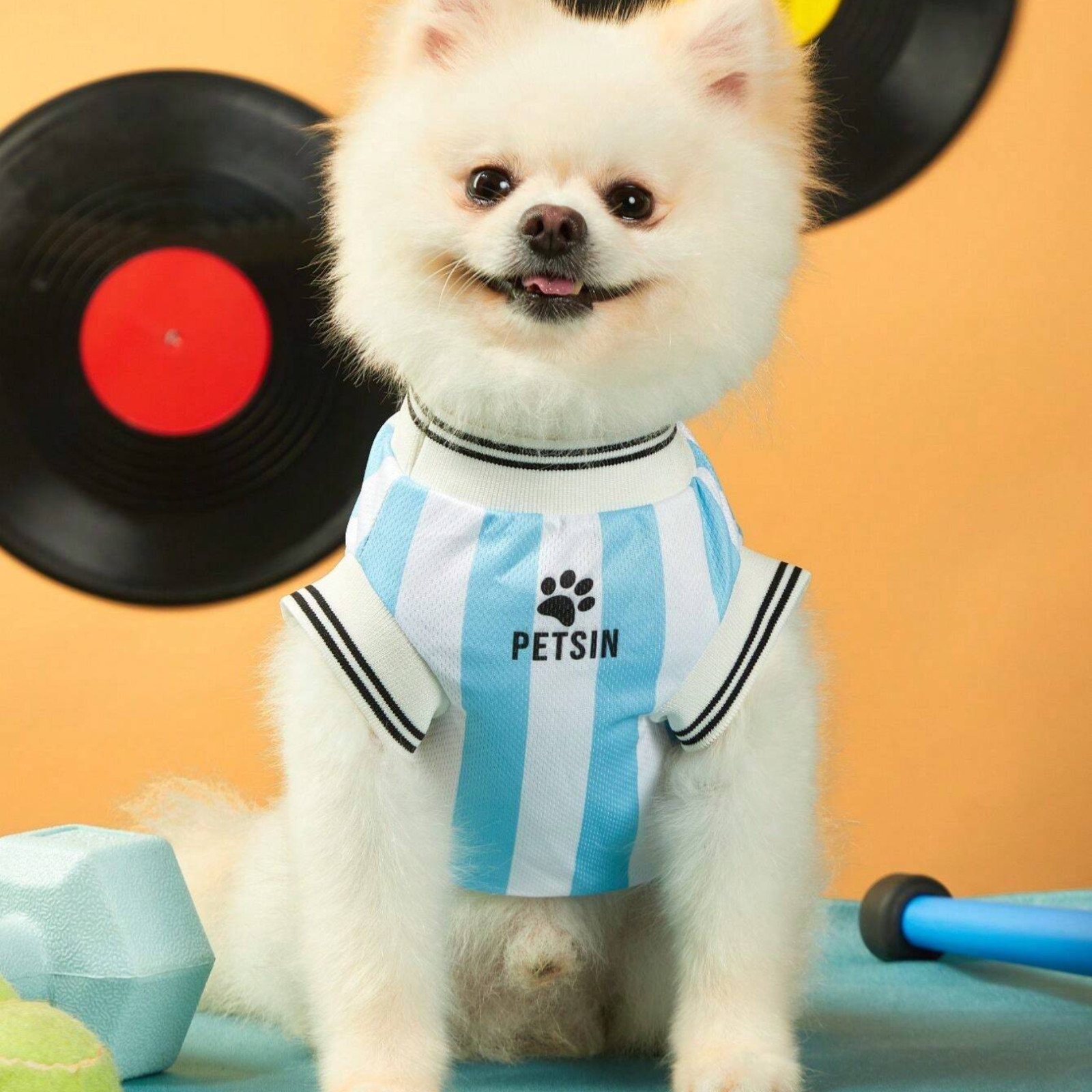 Pets World Cup 2026 Jersey Shirt Striped Ribbed Trim Breathable Dog & Cat Jersey