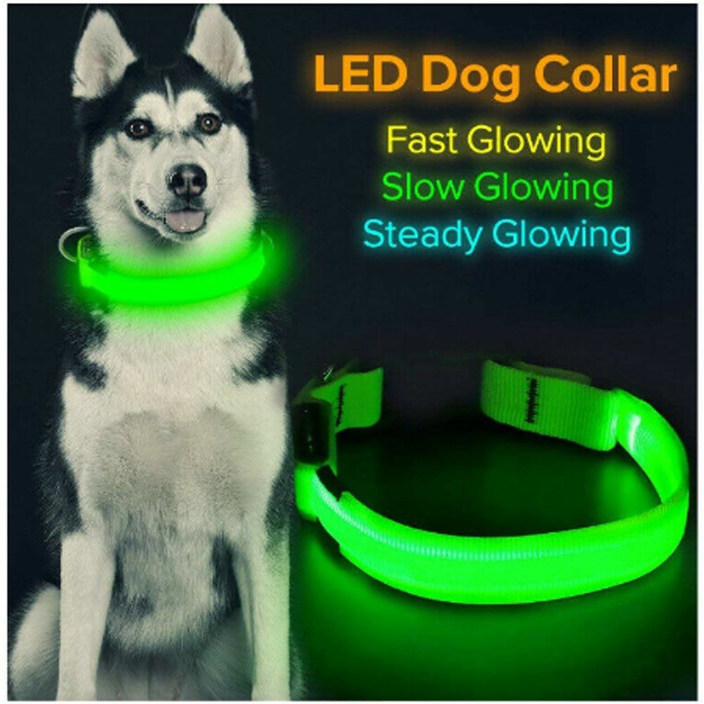 LED Light up Dog Collar Pet Night Safety Bright Flashing Adjustable Nylon 2023
