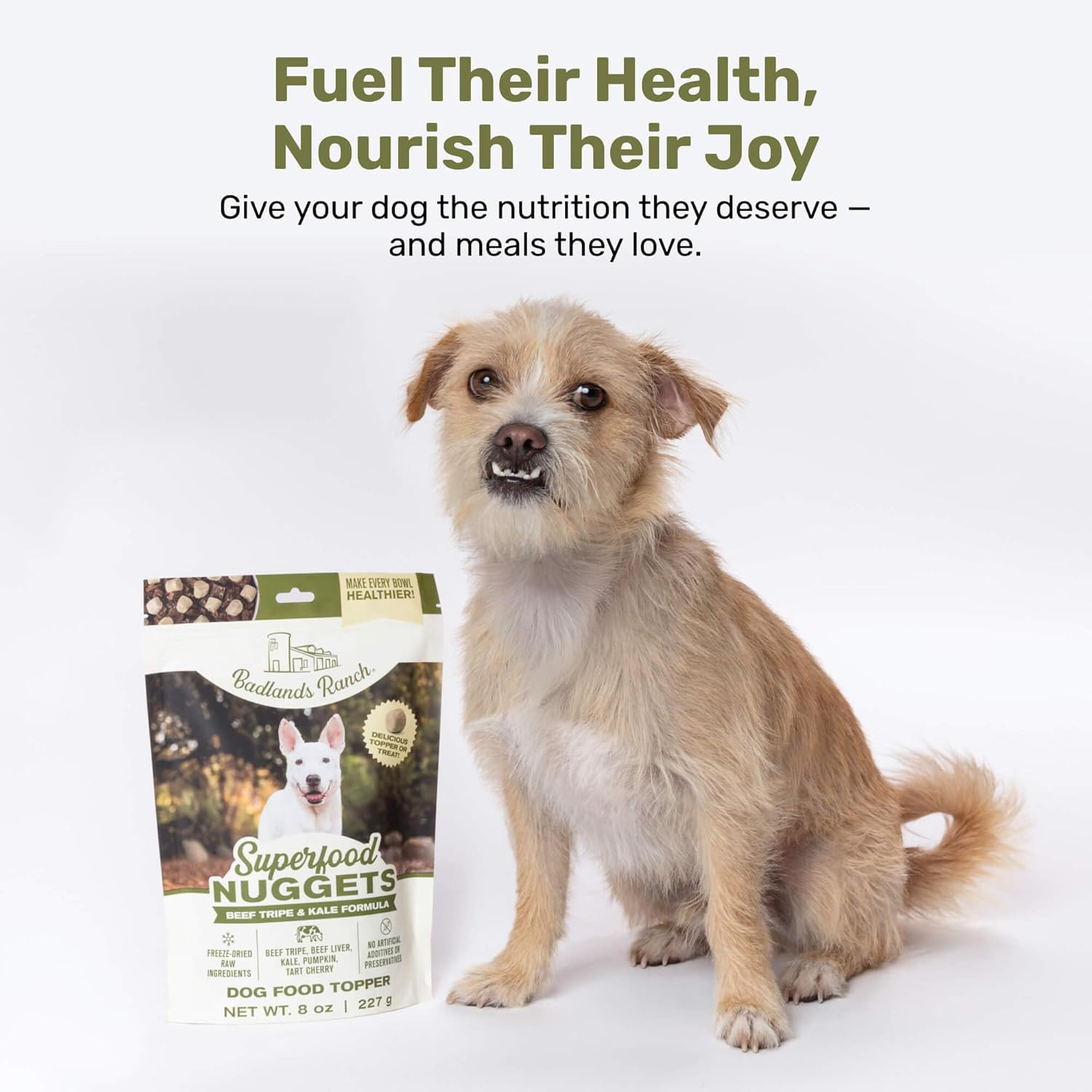 Superfood Nuggets – Freeze-Dried Raw Dog Treat & Food Topper, Nutrient-Dense Bee