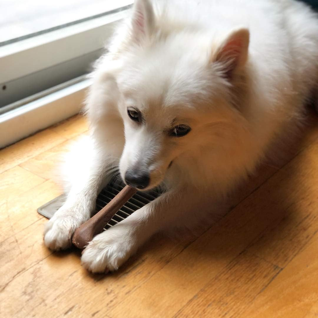 Bam-Bones Bone – Made with Strong Bamboo Fiber, Durable Long Lasting Dog Chew fo