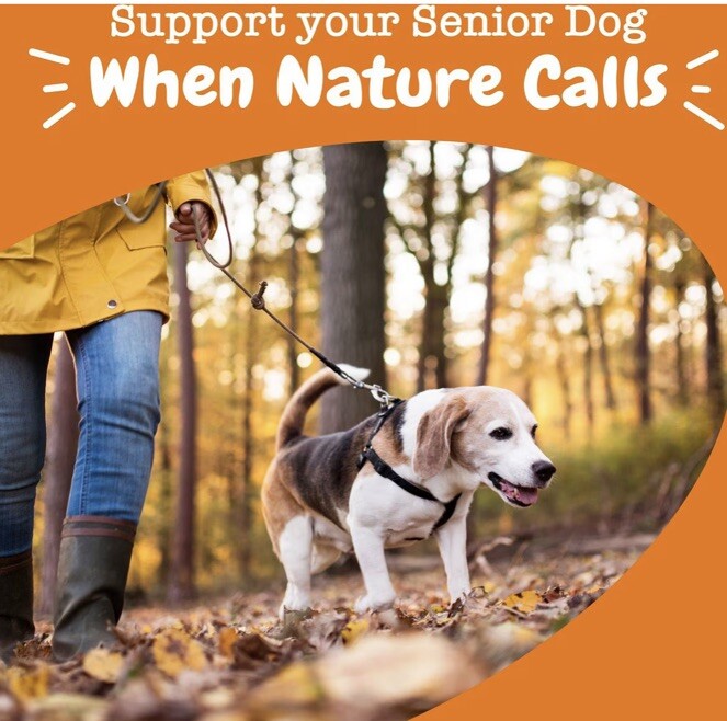 3 -zesty paws senior advanced urinary tract bites 90 Each Container🦮dogs