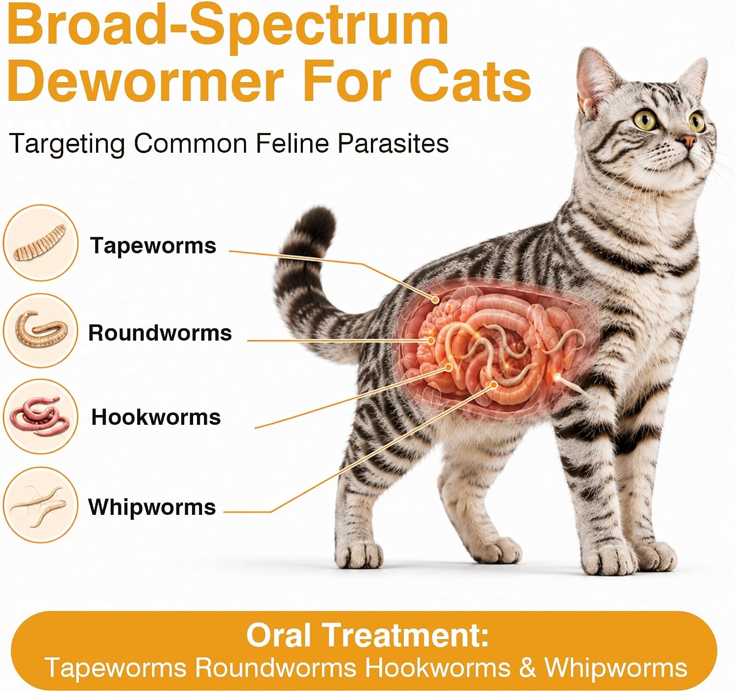 De-Wormer for Cats and Kittens – Pyrantel Pamoate & Praziquantel for Cats