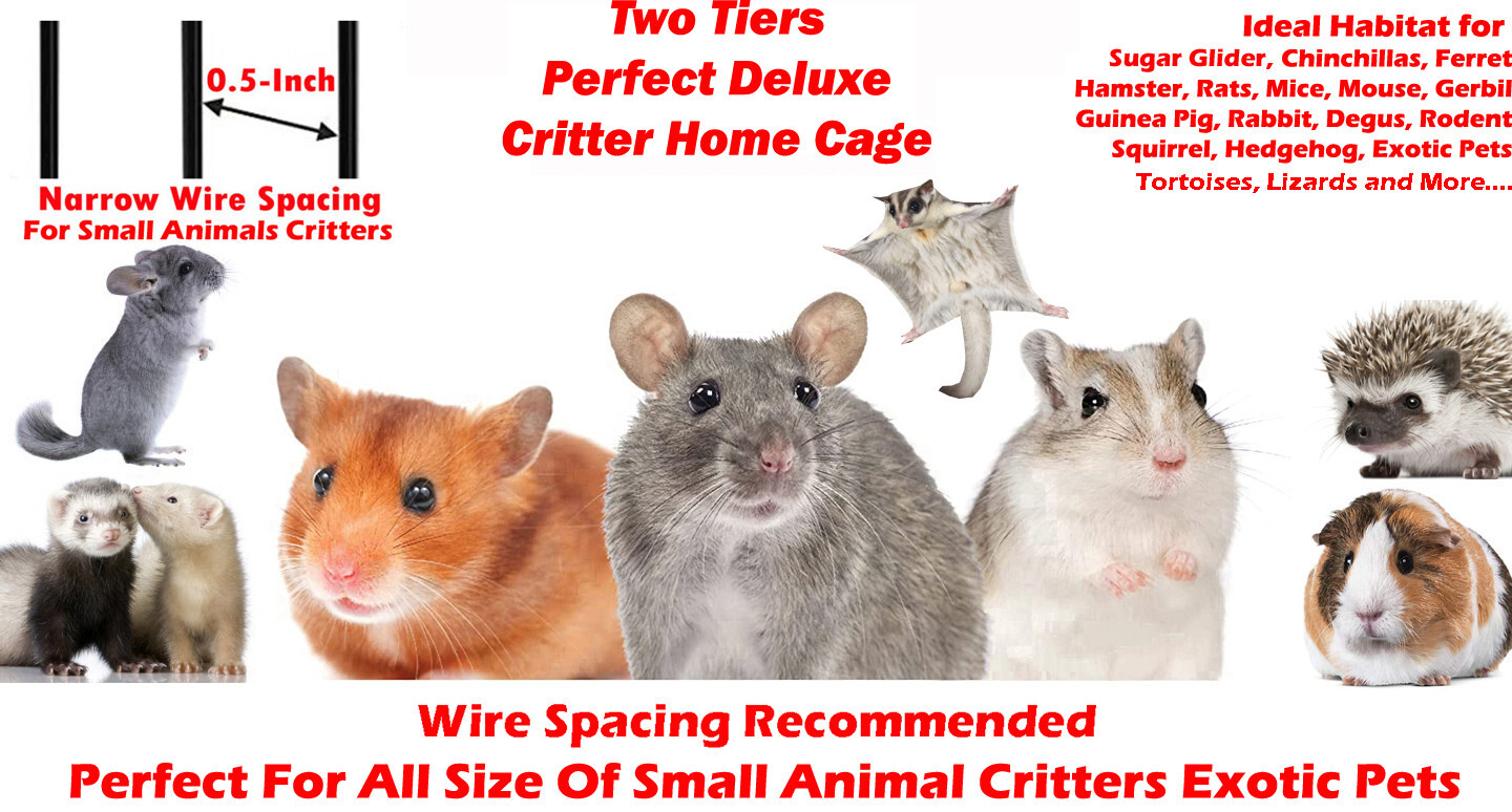 LARGE 2-Tiers 1/2-inch Bar Ferret Chinchilla Guinea Pig Rat Mice Hammock Cage