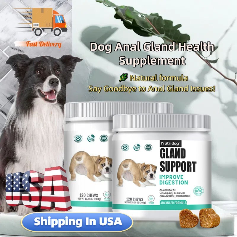 Glandex Anal Gland Chews for Dogs, Anal Gland Support with Probiotics, 120 Chews