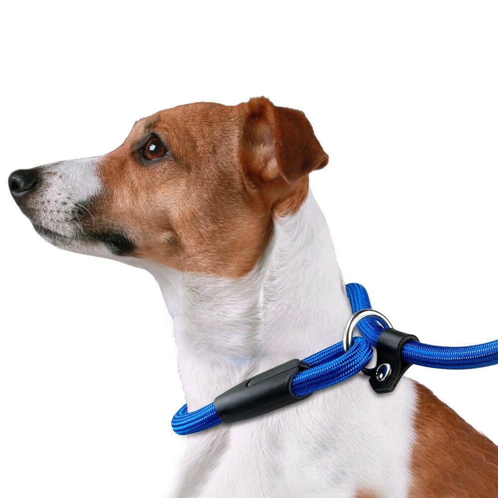 Dog Nylon Adjustable Loop Slip Rope Leash Lead Training Choke Pet Collar 130cm