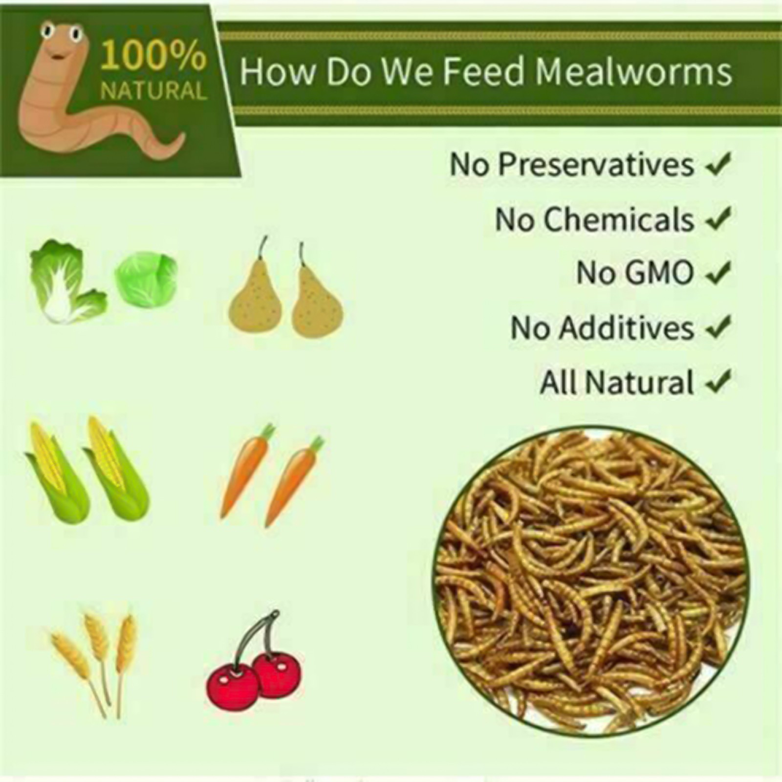 5lbs Dried Mealworms for chickens Chicken Treats Duck Feed Organic Meal Worms US