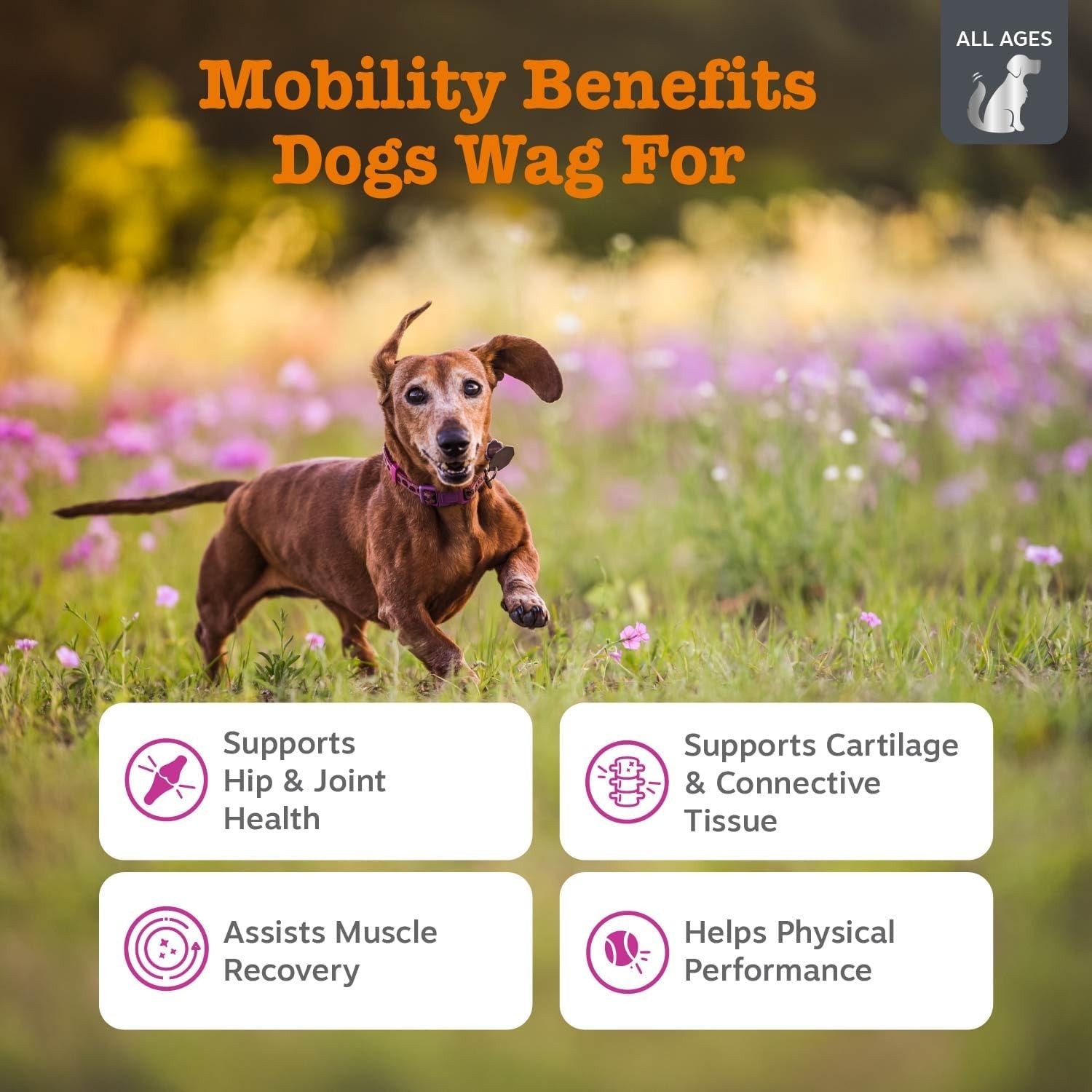 Veterinary-Grade High-Potency Mobility Chews Beef & Bacon Flavour – 90 Chews