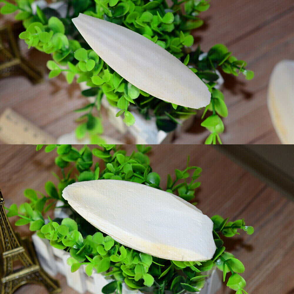 10-20Pcs Calcium Cuttlebone Cuttlefish bone Sepia/Cuttle/Fish/Bird Food USAA~