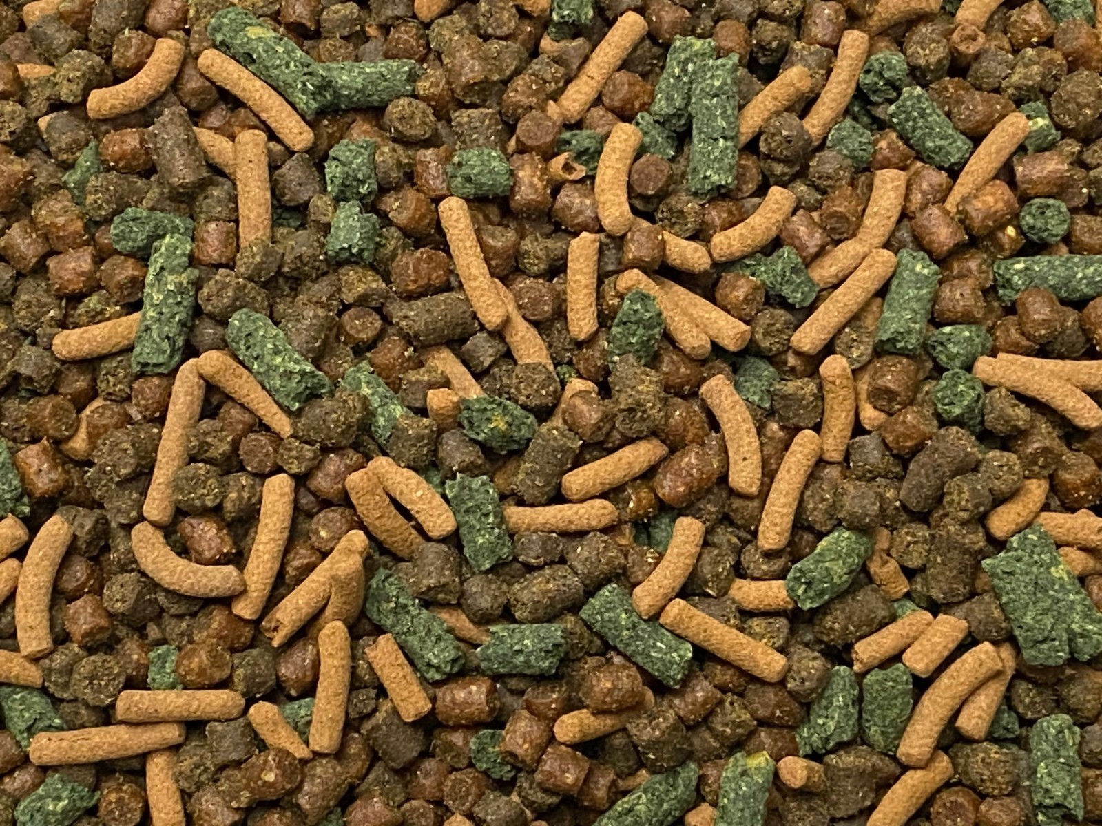 ABF CORY CATFISH MIX Bottom Feeders,Krill,Spirulina,Cory Cats,Pleco,ABF154BF