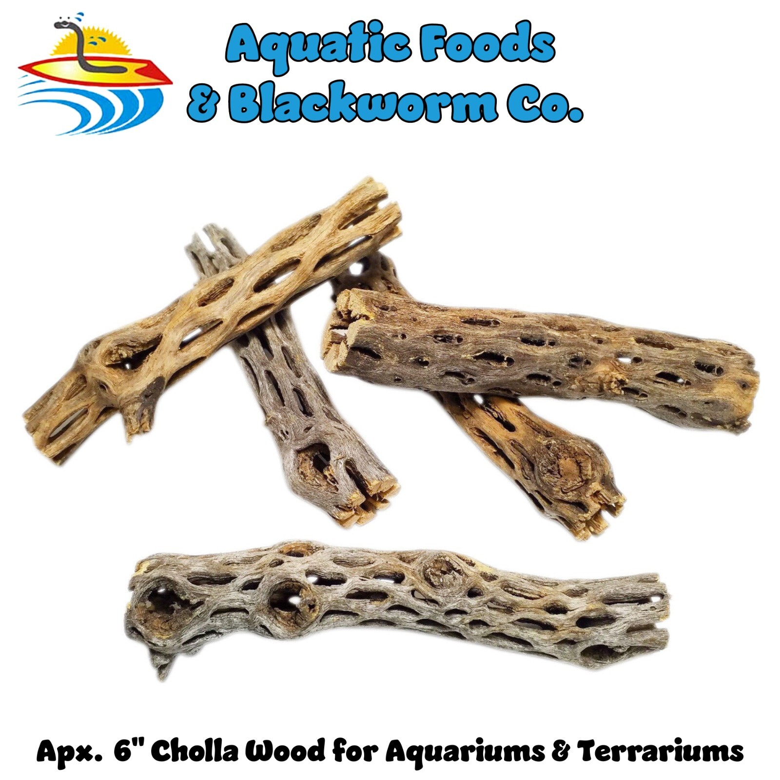 6″ Cholla Wood for Freshwater Shrimp