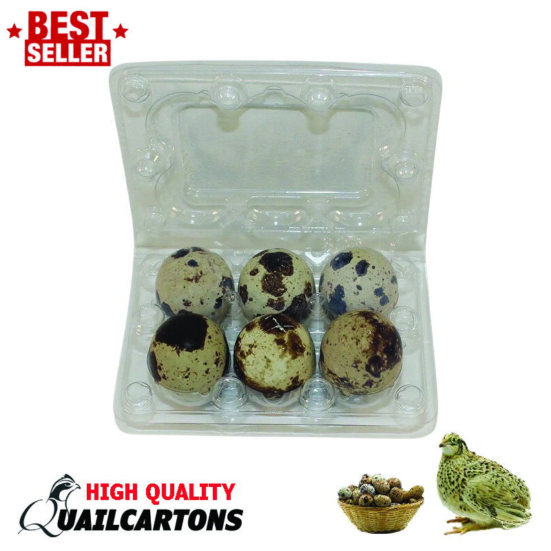 Jumbo Quail Egg Cartons 6 Egg Cell (2×3 with 29*40 Egg Cell)