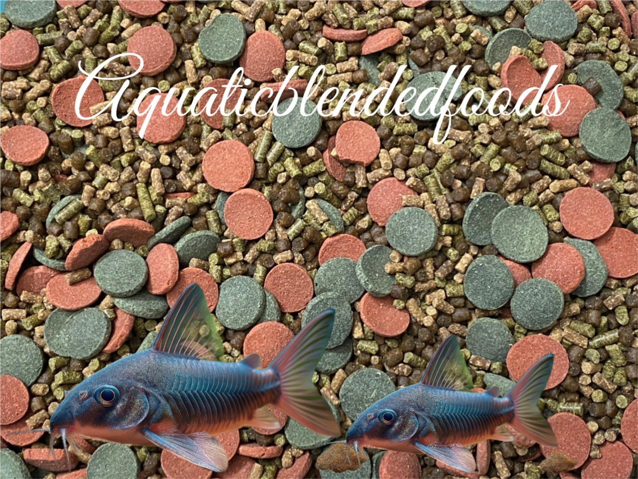 ABF CORY CATFISH MIX Bottom Feeders,Krill,Spirulina,Cory Cats,PlecoABF425WW