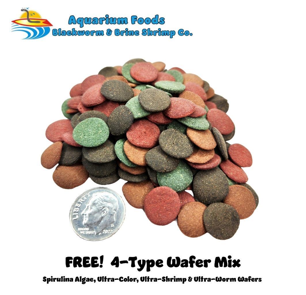 PREMIUM GUPPY FISH FOOD – COLOR ENHANCING – PROMOTES FIN GROWTH – FREE SHIPPING!