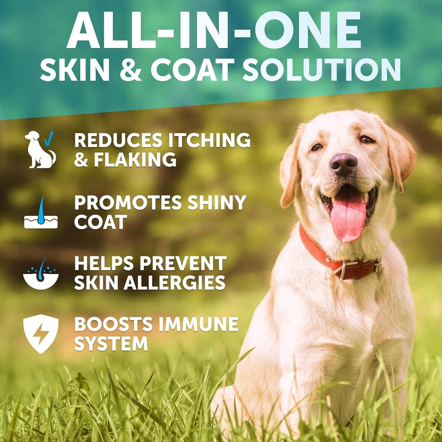 Omega 3 Skin & Coat Fish Oil Soft Chews for Dogs -Itch Relief, Salmon Oil 120ct