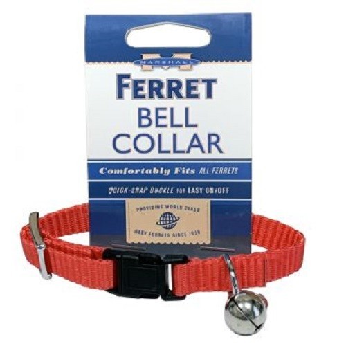 Marshall Pet Ferret Bell Collar. Red 3/8″ Flat Nylon Collar w Snap Buckle. New.