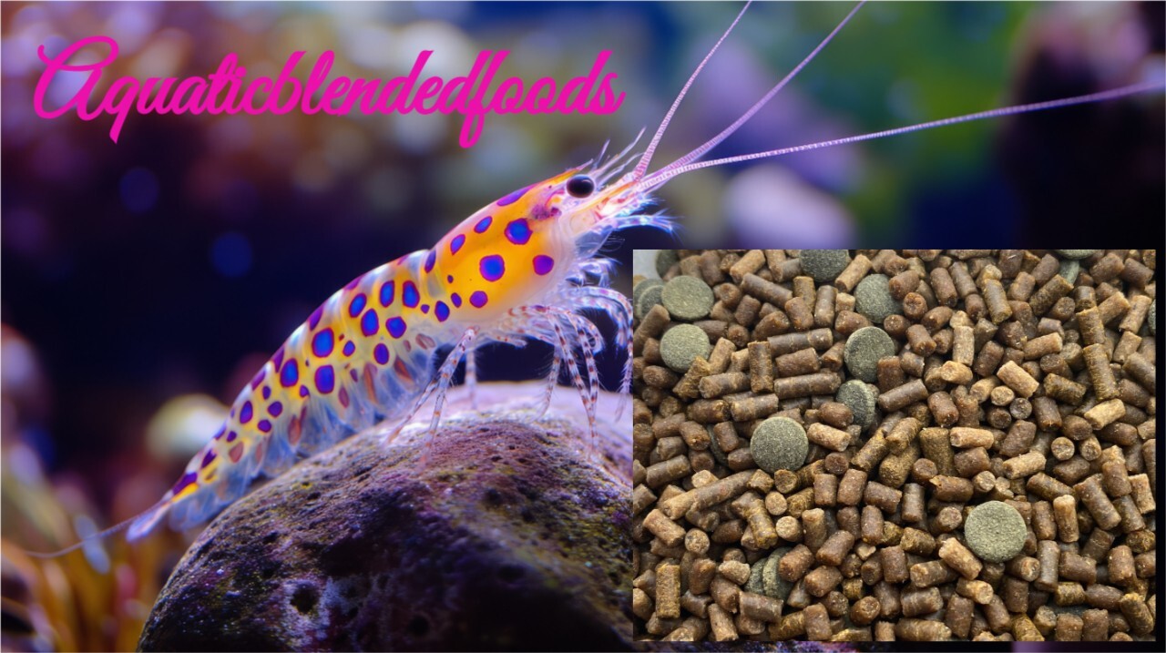 ABF AQUATIC FRESHWATER SHRIMP FOOD MIX/With CALCIUM- MINI SPIRULINA WAFERS ABF1S