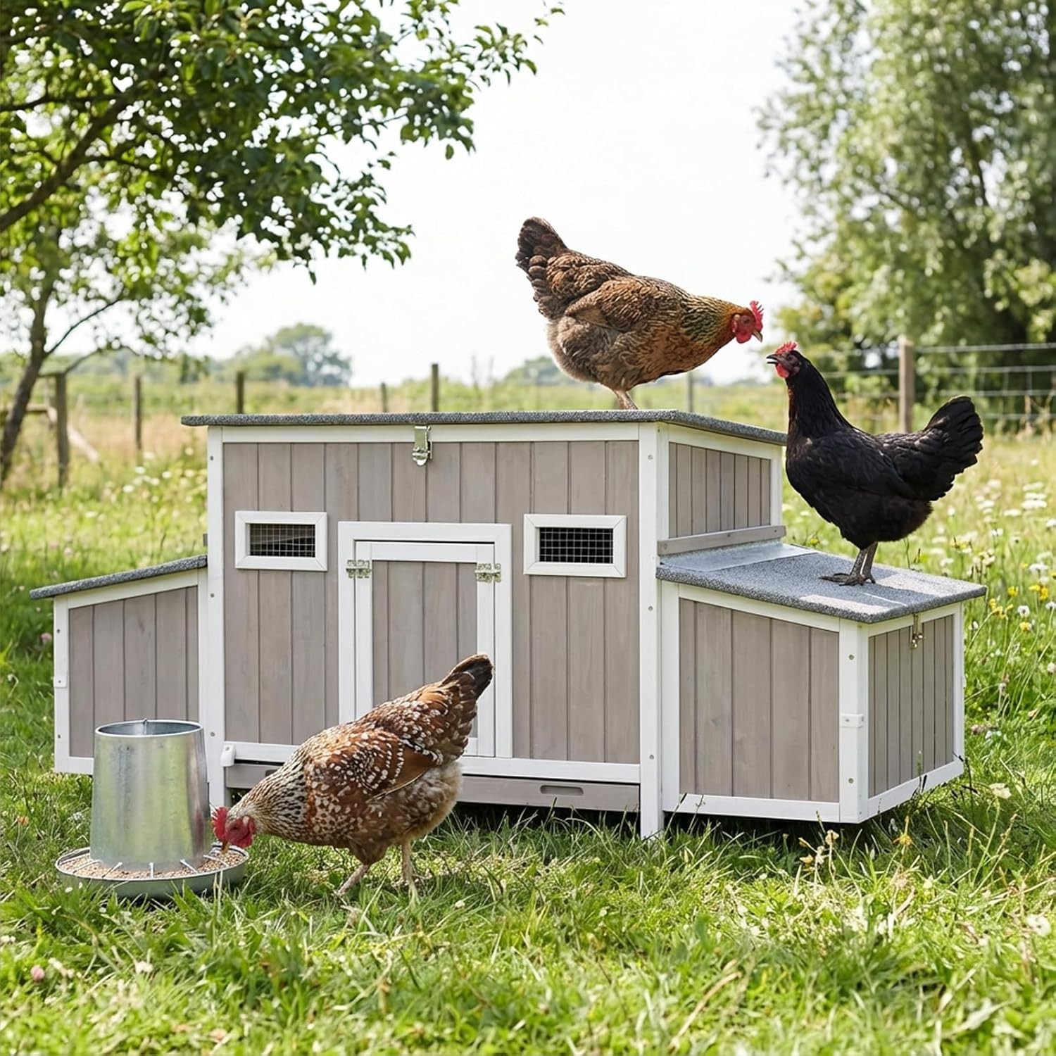 PETSCOSSET 62″Chicken Coop for 2-4 Chickens,Large Hen House with 4 Nesting Boxes