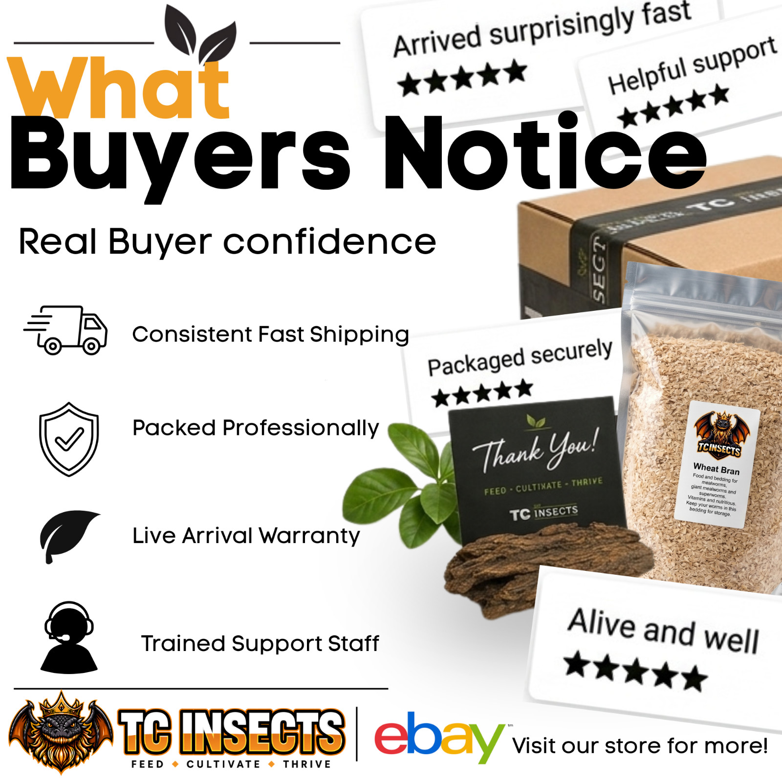 TC INSECTS Live Red Runner Roaches Feeder Insects for Reptiles Amphibians & More
